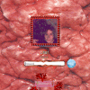 trippy flesh.gif
