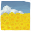 disc_yellowflower.png