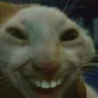 khalilarjabikamishtape