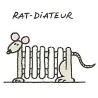 Rat-diateur